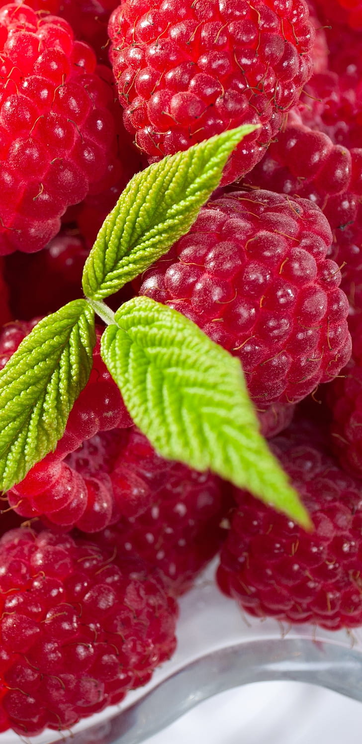 Food, Raspberry, Background phone wallpaper