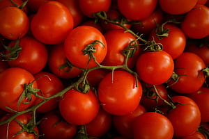 Testing in Visual Studio, Coded UI testing, Tomato ry, Technology reference wallpaper