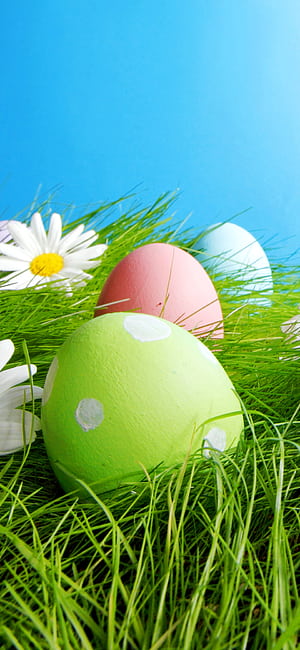 Happy Easter, easter egg, holiday, Easter phone wallpaper