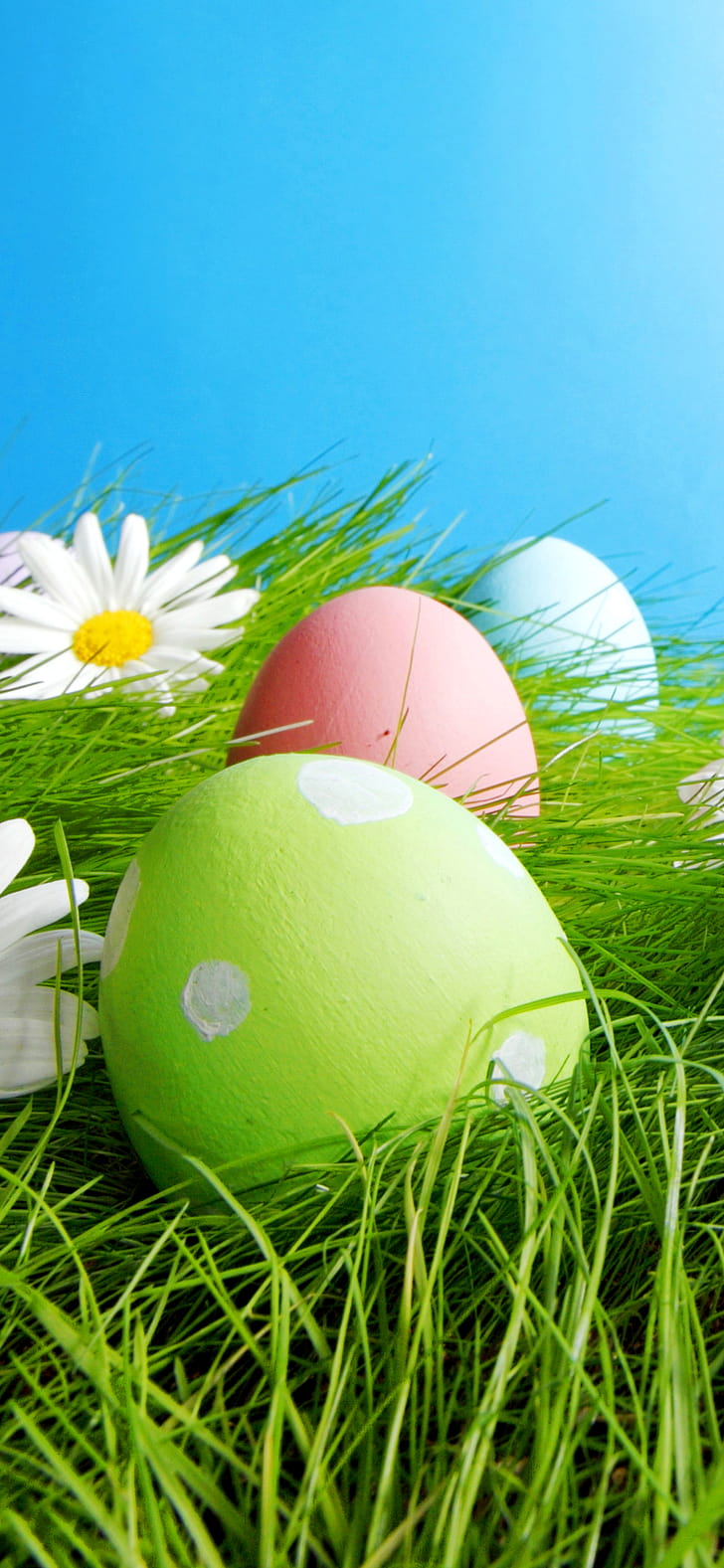 Happy Easter, easter egg, holiday, Easter phone wallpaper
