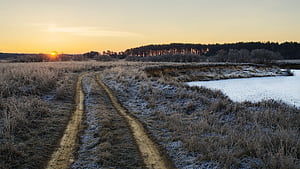 Field Path, nature, path wallpaper