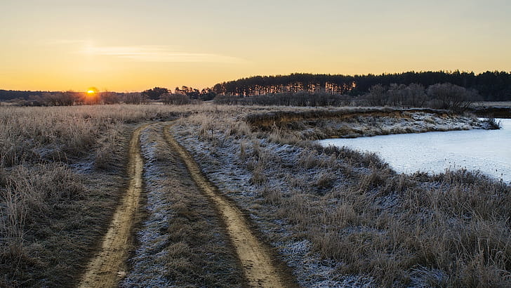 Field Path, nature, path wallpaper
