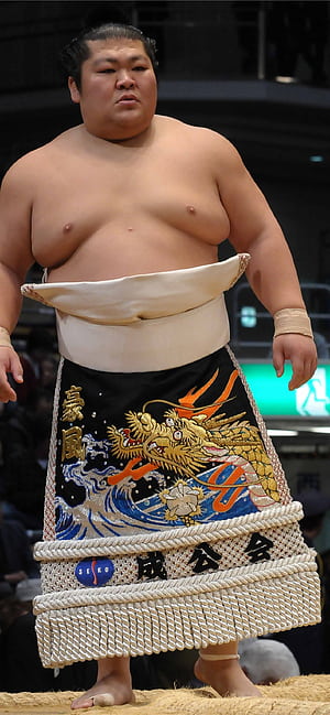 Sumo, iPhone , phone wallpaper