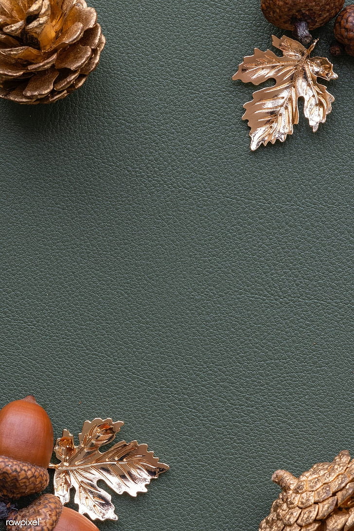Pinecones, Acorns phone wallpaper