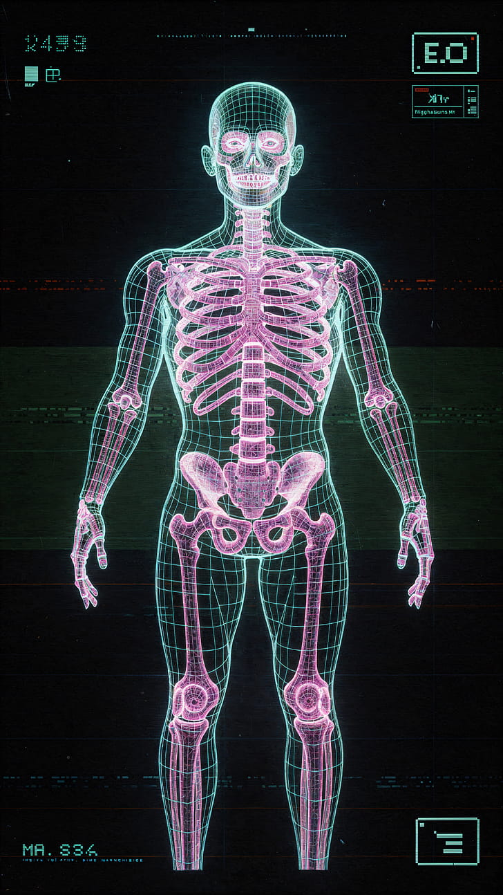 Skeleton phone wallpaper