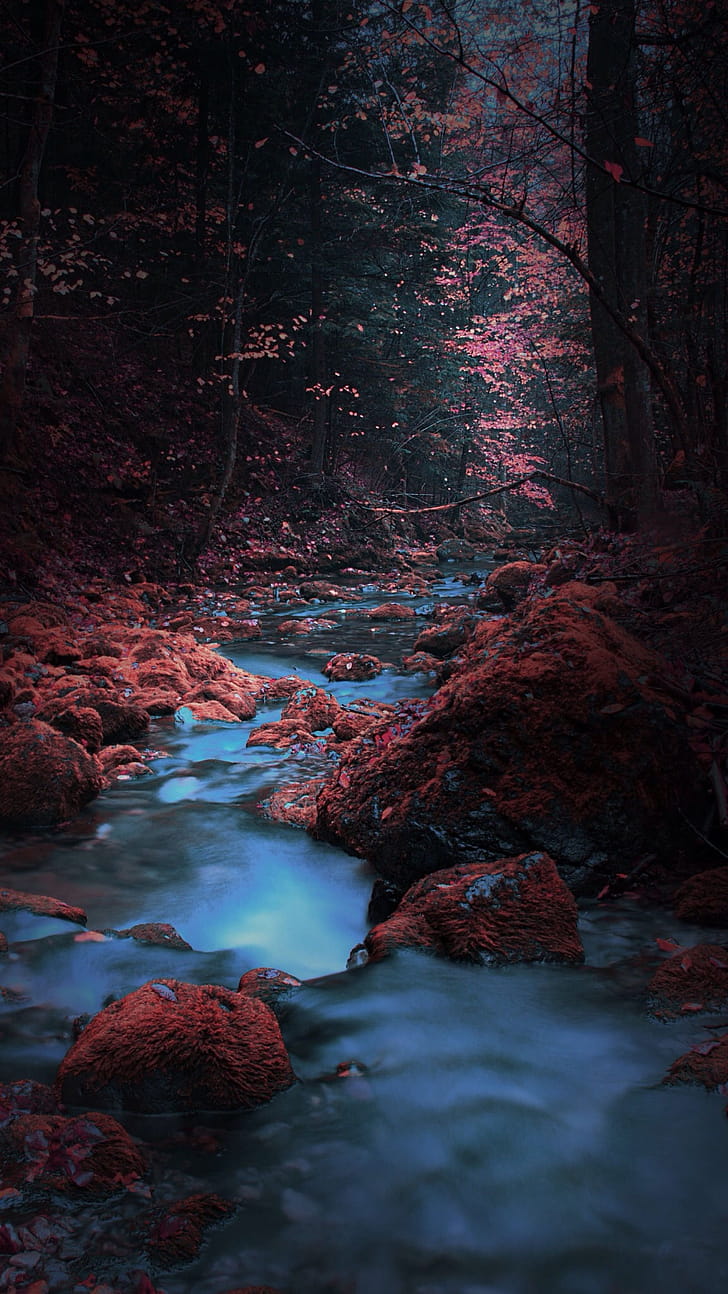 River, Scenery phone wallpaper