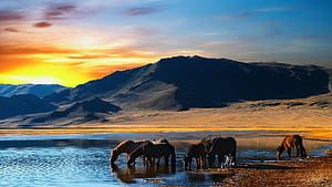Mongolia,  , Stunning backgrounds, Computer wallpaper