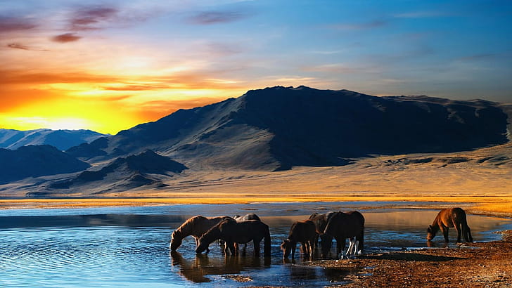 Mongolia,  , Stunning backgrounds, Computer wallpaper