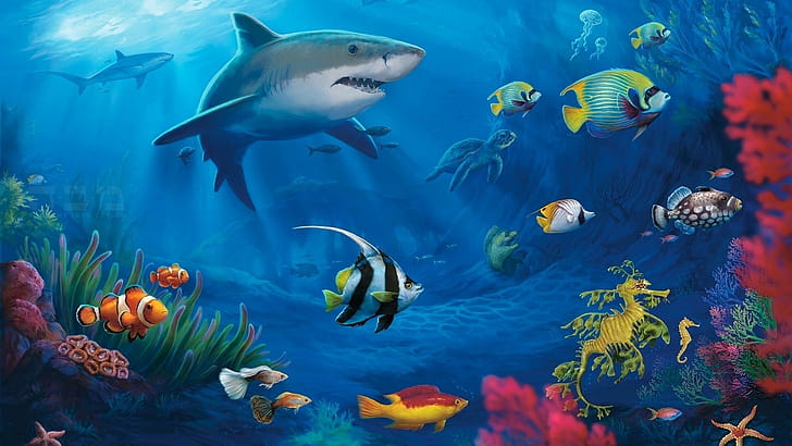Shark, Fish wallpaper
