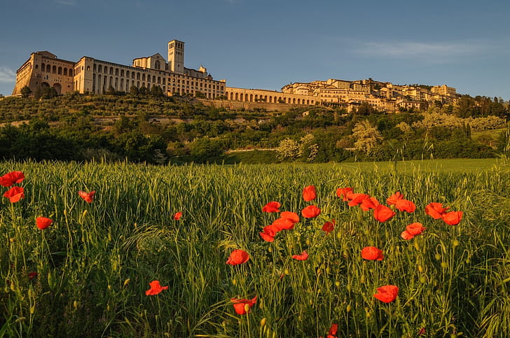 Assisi , Backgrounds wallpaper