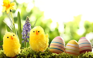 Easter, Holiday wallpaper