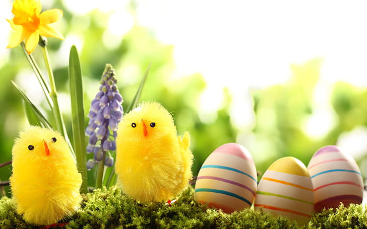 Easter, Holiday wallpaper
