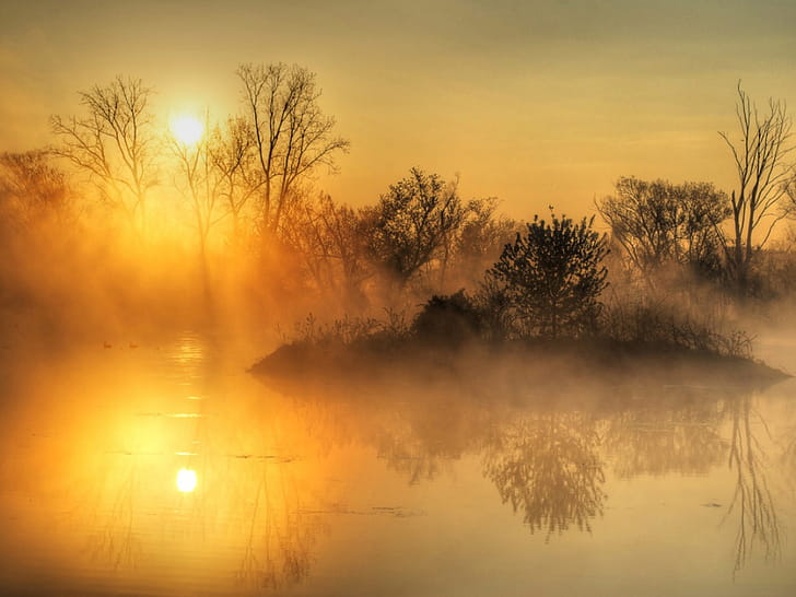 Tree, Sun,  , Reflection, Water wallpaper