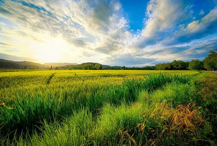 landscape, sunset wallpaper