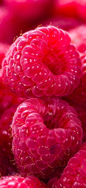 Food, Raspberry, Background phone wallpaper