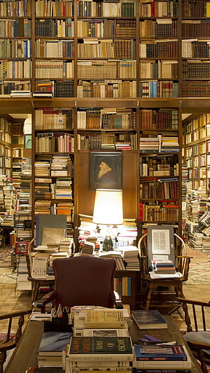 Library, iPhone, , Knowledge phone wallpaper
