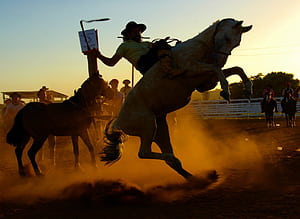 Rodeo, , Backgrounds wallpaper