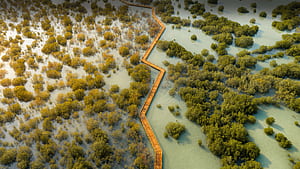 Jubail Mangrove Park Dubai, dubai, world, nature, drone-view wallpaper