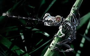 Frog, Robots wallpaper