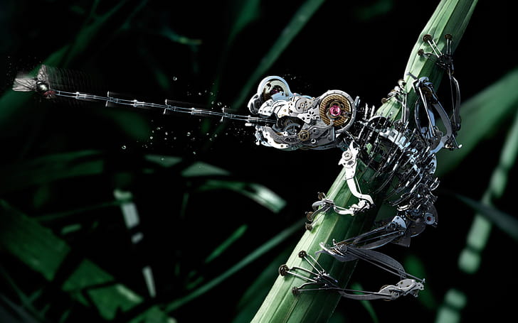 Frog, Robots wallpaper