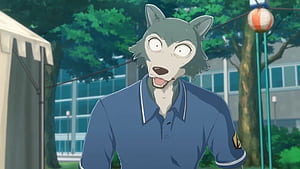 Legoshi, BEASTARS wallpaper