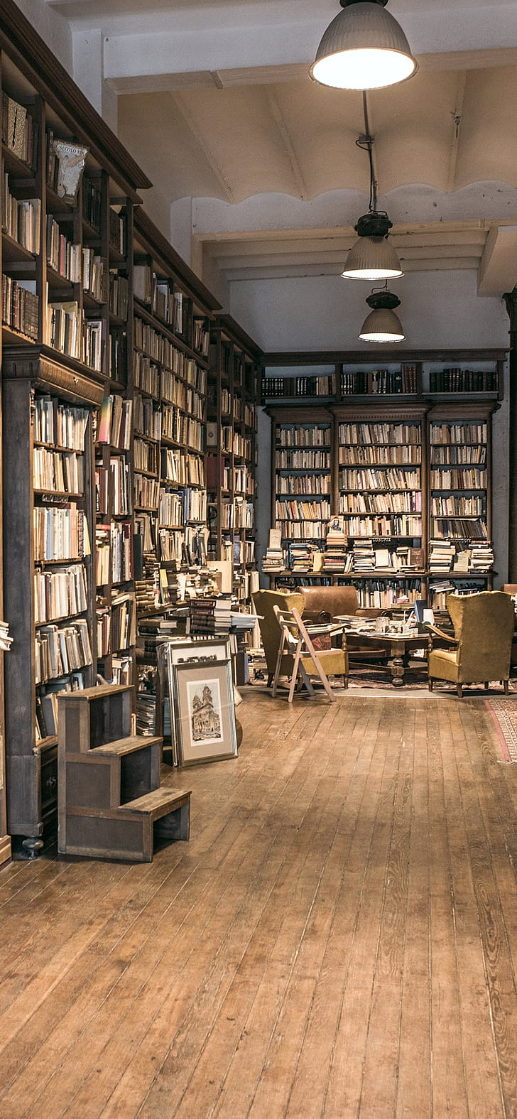 Man-Made, Library, Study, Interior phone wallpaper