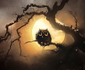 Owl And Moon, owl, birds, moon, artist, artwork, digital-art, deviantart wallpaper