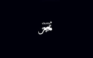 Ubuntu, Linux, Technology, Salamander wallpaper