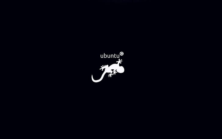 Ubuntu, Linux, Technology, Salamander wallpaper