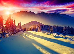 Winter, Sunrises wallpaper