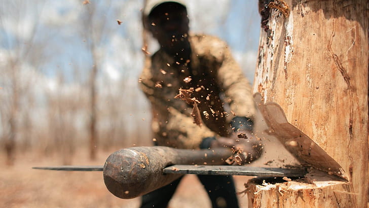 Chopping Trees With Axe, axe, trees wallpaper