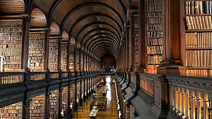 Beautiful, Library, , Teeth wallpaper