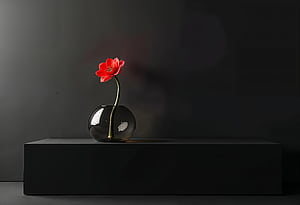 flower wallpaper