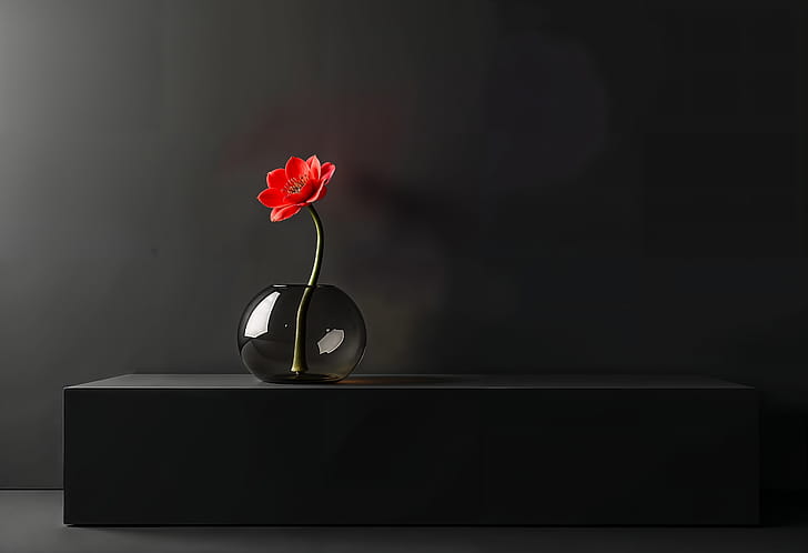 flower wallpaper