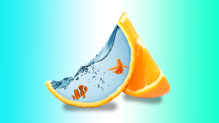 Fish Creative Art, creative, fish wallpaper