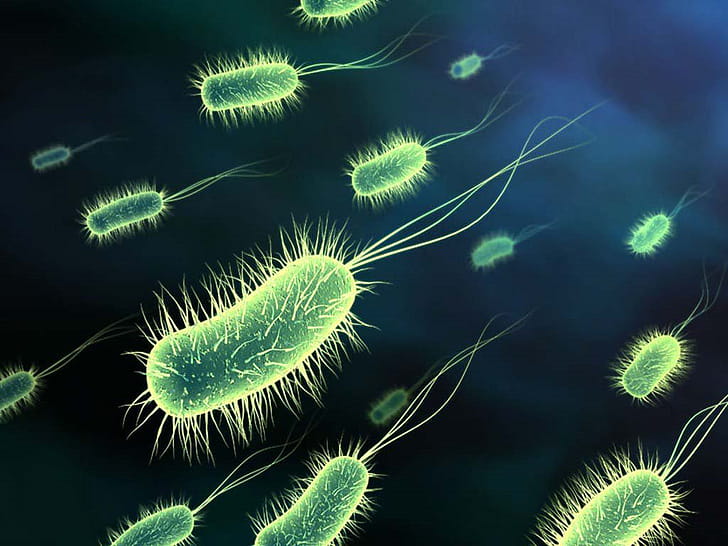 Bacteria, Artistic, Microbe wallpaper