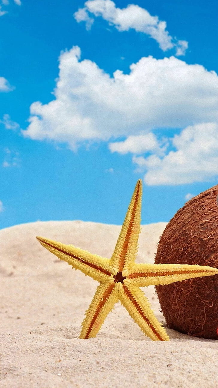 Coconut, Starfish phone wallpaper