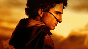 Dune: Part Two wallpaper