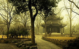 Building wallpaper