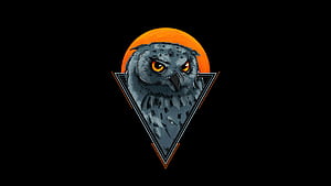 Owl Minimal , owl, minimalism, minimalist, artist, artwork, digital-art, dark, black wallpaper