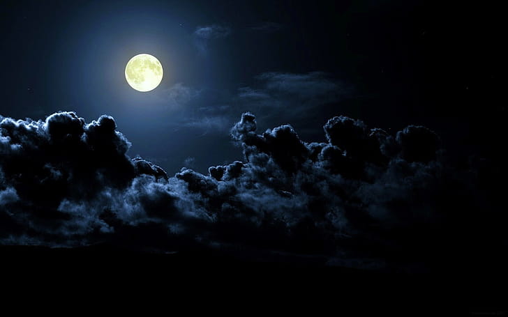Moon, Space, Computer , Spooky tree wallpaper