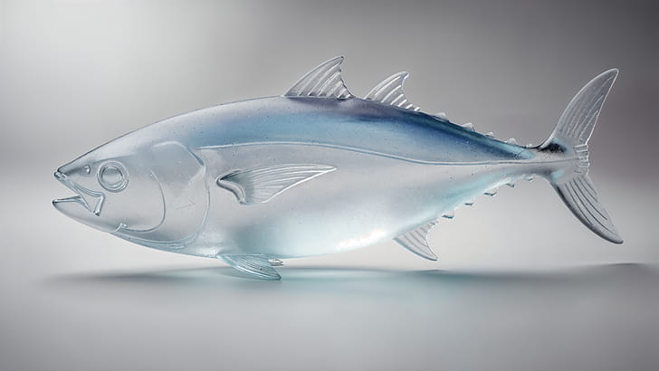 Translucent Tuna — wallpaper