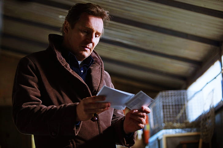 Liam Neeson, Widescreen computer wallpaper