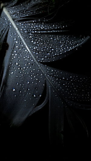 Android  feather,  background, Smartphone , Mobile phone wallpaper
