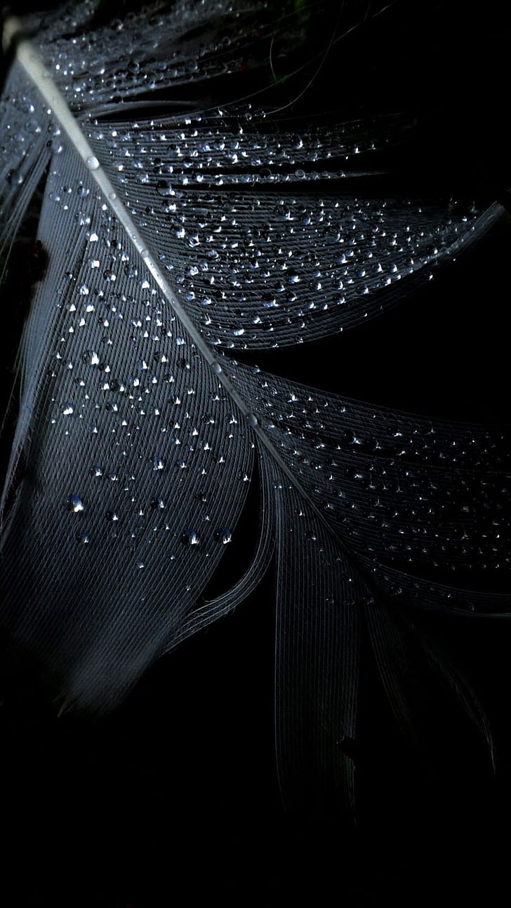Android  feather,  background, Smartphone , Mobile phone wallpaper
