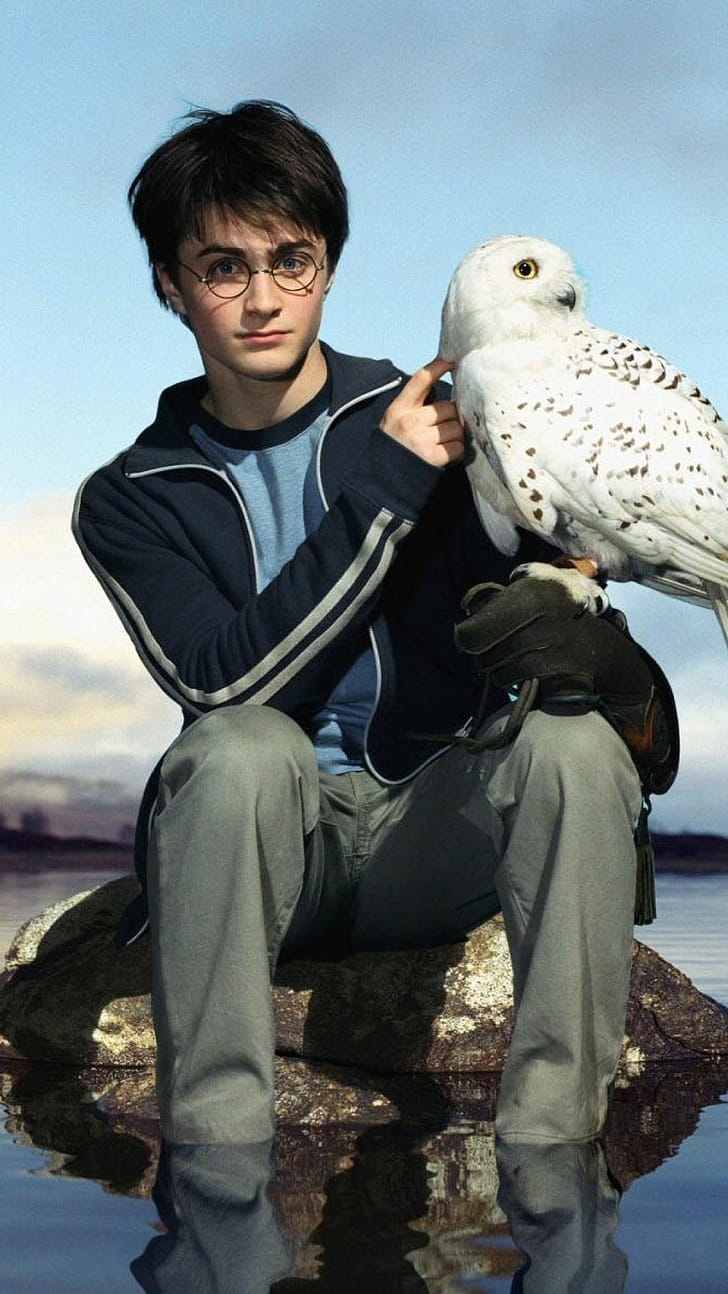 Hedwig, phone wallpaper