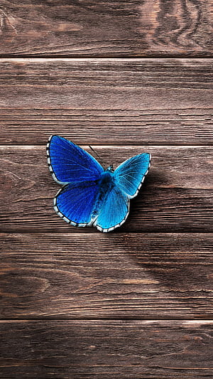 Morpho, Butterflies phone wallpaper