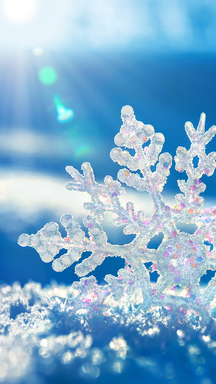 Widescreen winter , High resolution, phone wallpaper