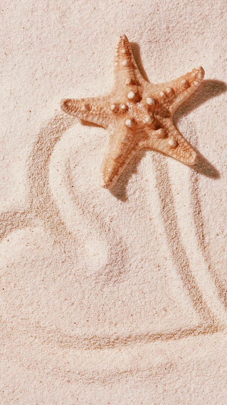 Heart, Starfish phone wallpaper