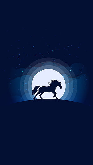 equestrian , Cat phone wallpaper